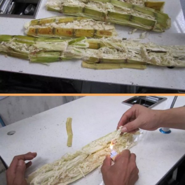 Extrator de sumo de cana-de-açúcar | Máquina de sumo de cana-de-açúcar 12 Extrator de sumo de cana de açúcar profissional Hommy por atacado para loja de alimentos-12