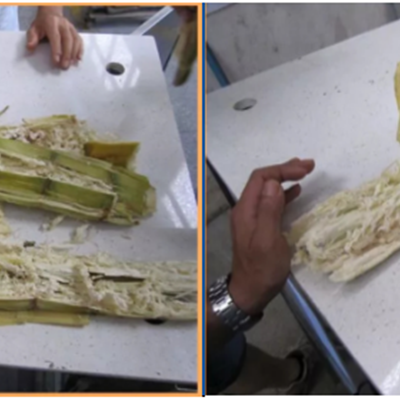 product-Hommy-ZJ190B machine à presser la canne à sucre-img-1